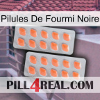 Black Ant Pills 27